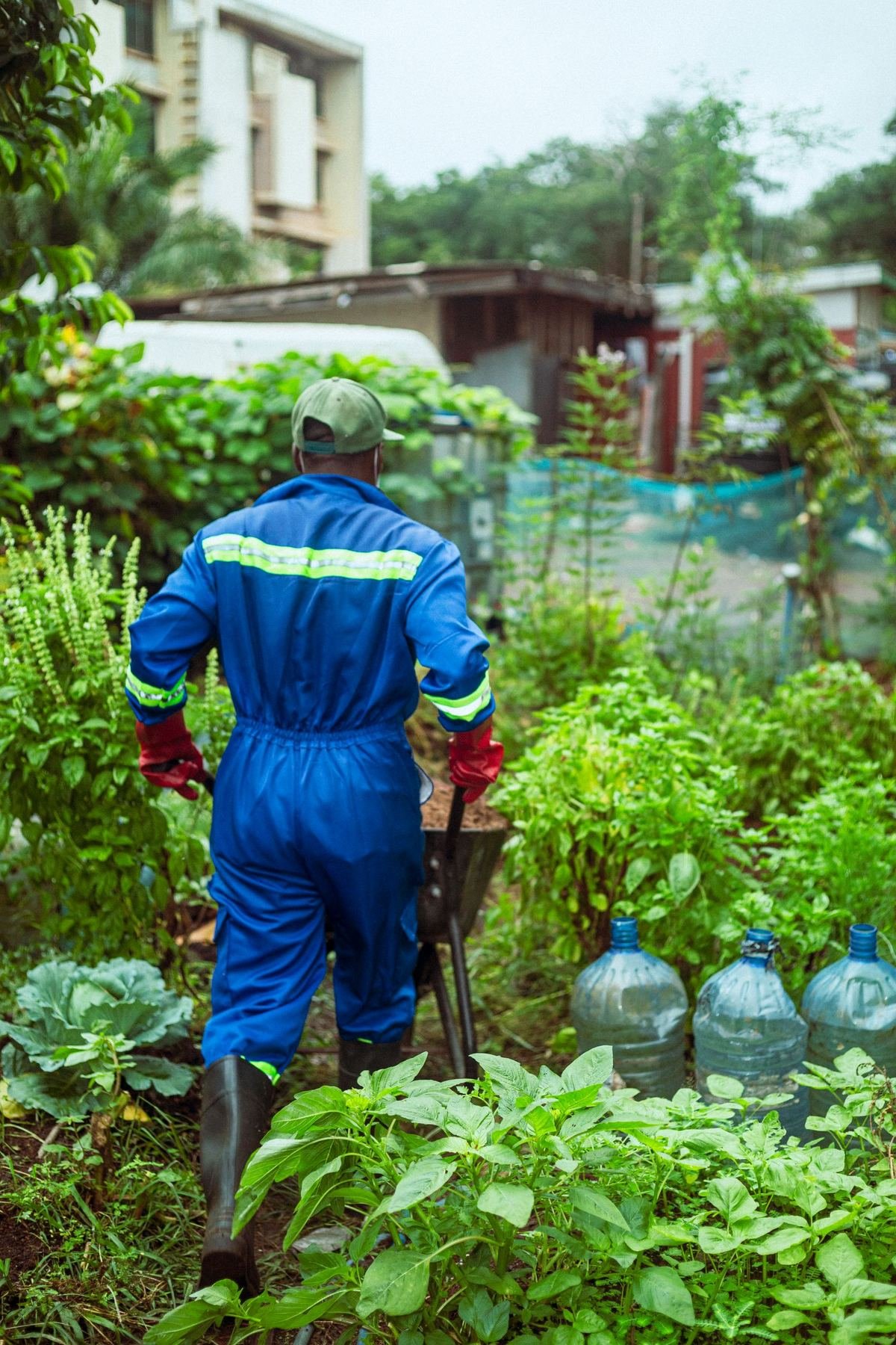Jeune jardinier dans un jardin luxuriant de l'Ouest de La Réunion