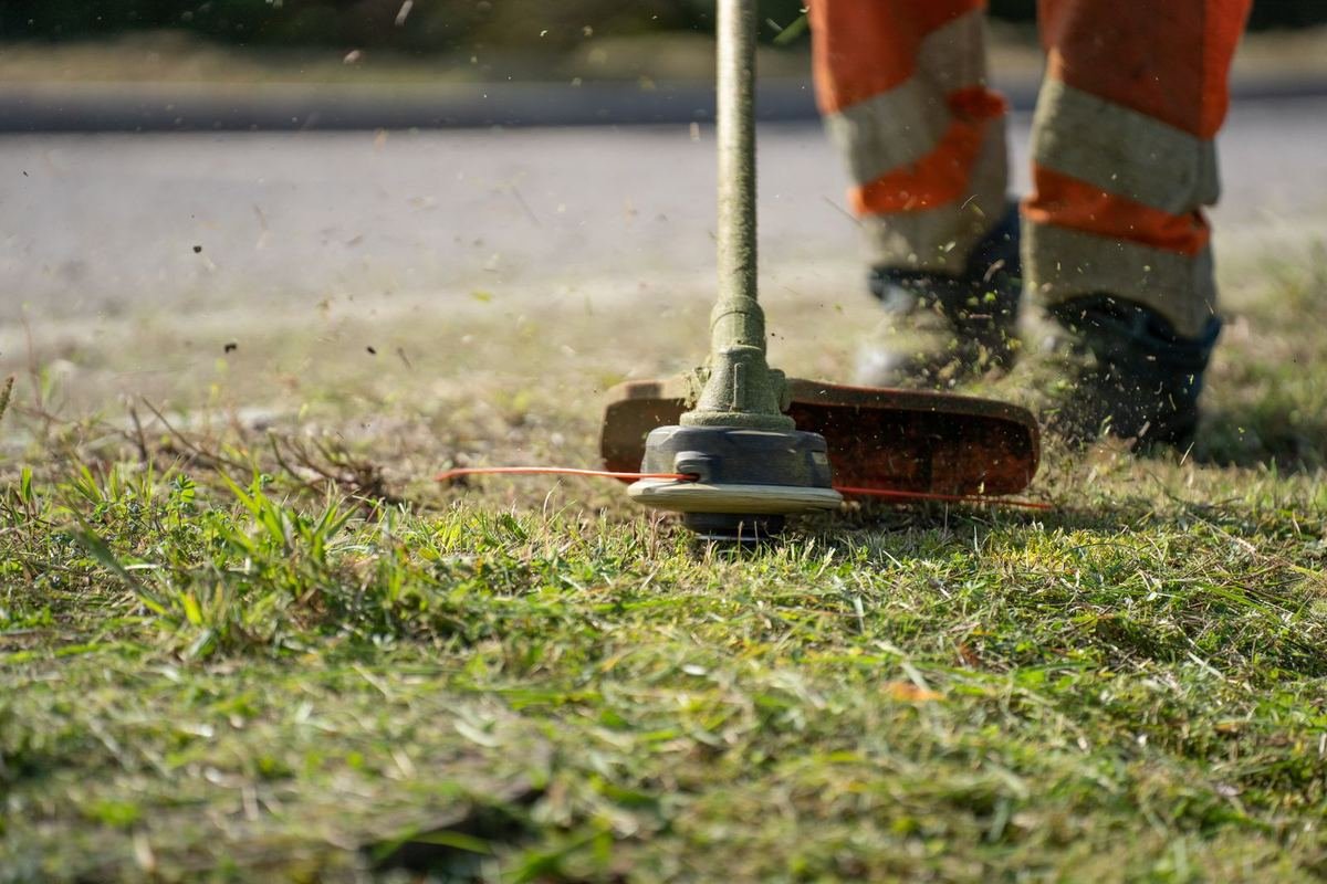 Finition des bordures au coupe-bordure dans un jardin de Saint-Leu